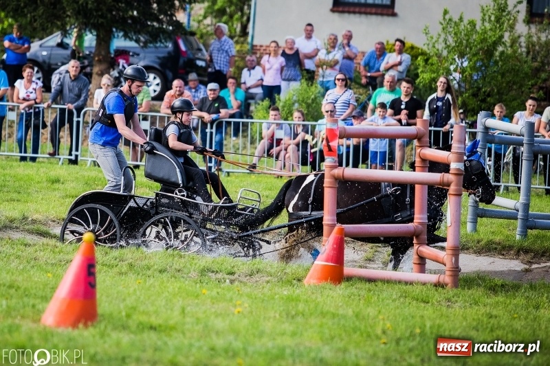 Zdjęcie w galerii na portalu naszraciborz.pl: Pierwszy dzień majówki w Kornicach za nami wiadomości z regionu