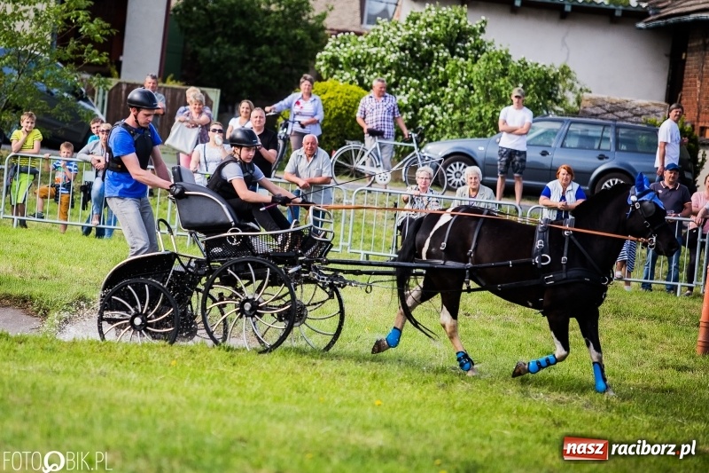 Zdjęcie w galerii na portalu naszraciborz.pl: Pierwszy dzień majówki w Kornicach za nami wiadomości z regionu