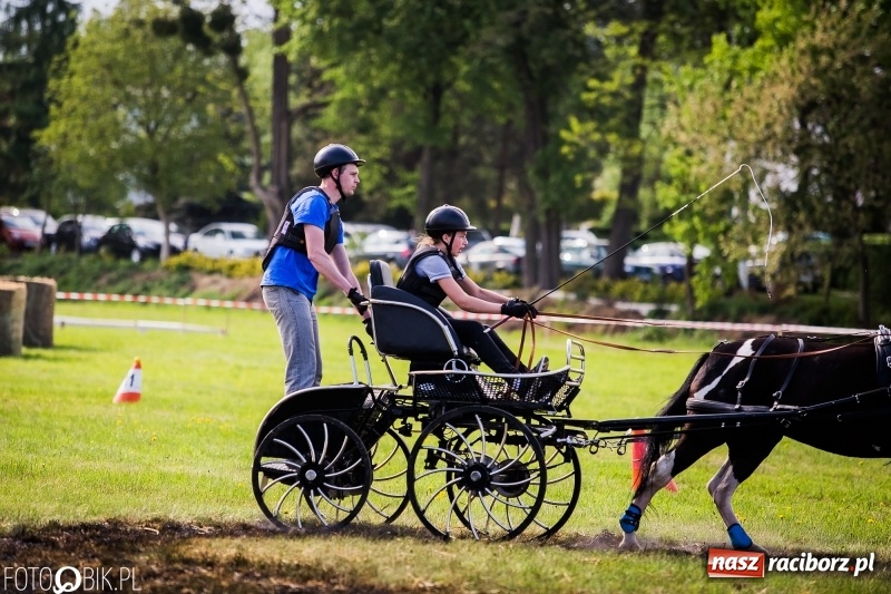 Zdjęcie w galerii na portalu naszraciborz.pl: Pierwszy dzień majówki w Kornicach za nami wiadomości z regionu