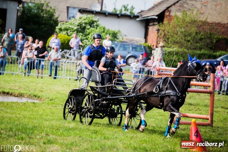 Zdjęcie w galerii na portalu naszraciborz.pl: Pierwszy dzień majówki w Kornicach za nami wiadomości z regionu