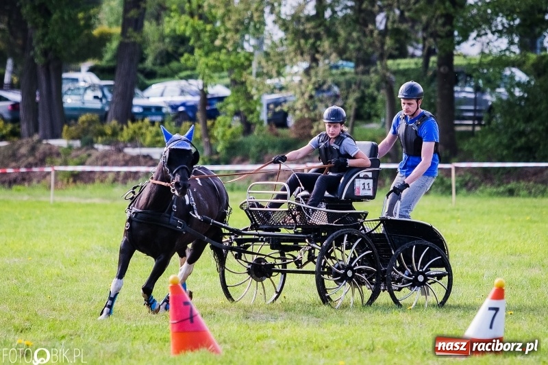 Zdjęcie w galerii na portalu naszraciborz.pl: Pierwszy dzień majówki w Kornicach za nami wiadomości z regionu