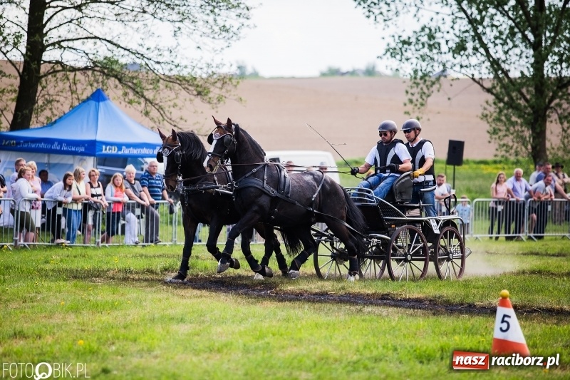 Zdjęcie w galerii na portalu naszraciborz.pl: Pierwszy dzień majówki w Kornicach za nami wiadomości z regionu