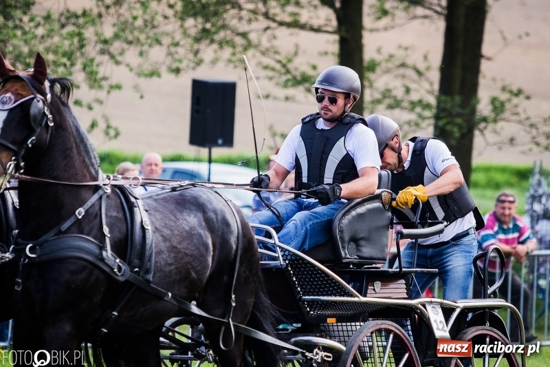 Zdjęcie w galerii na portalu naszraciborz.pl: Pierwszy dzień majówki w Kornicach za nami wiadomości z regionu