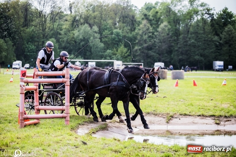 Zdjęcie w galerii na portalu naszraciborz.pl: Pierwszy dzień majówki w Kornicach za nami wiadomości z regionu