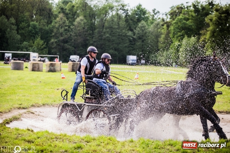 Zdjęcie w galerii na portalu naszraciborz.pl: Pierwszy dzień majówki w Kornicach za nami wiadomości z regionu
