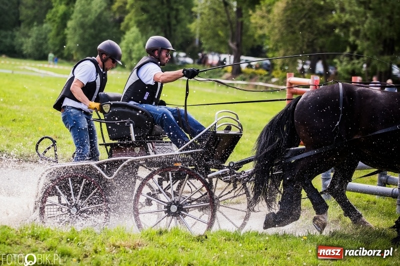 Zdjęcie w galerii na portalu naszraciborz.pl: Pierwszy dzień majówki w Kornicach za nami wiadomości z regionu