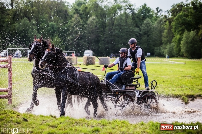 Zdjęcie w galerii na portalu naszraciborz.pl: Pierwszy dzień majówki w Kornicach za nami wiadomości z regionu