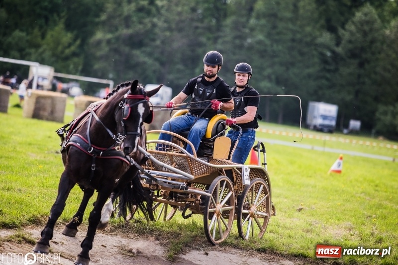 Zdjęcie w galerii na portalu naszraciborz.pl: Pierwszy dzień majówki w Kornicach za nami wiadomości z regionu