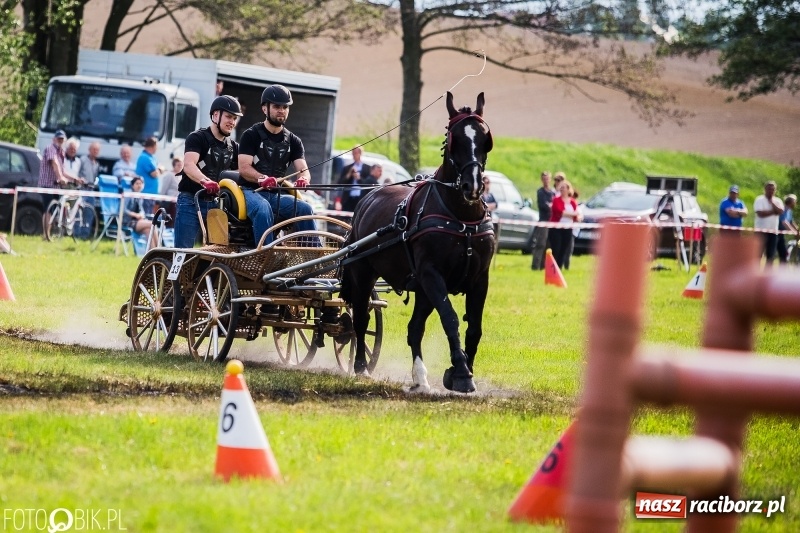 Zdjęcie w galerii na portalu naszraciborz.pl: Pierwszy dzień majówki w Kornicach za nami wiadomości z regionu