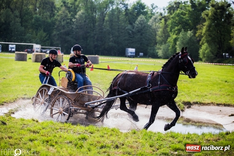 Zdjęcie w galerii na portalu naszraciborz.pl: Pierwszy dzień majówki w Kornicach za nami wiadomości z regionu