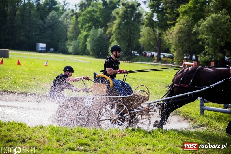 Zdjęcie w galerii na portalu naszraciborz.pl: Pierwszy dzień majówki w Kornicach za nami wiadomości z regionu