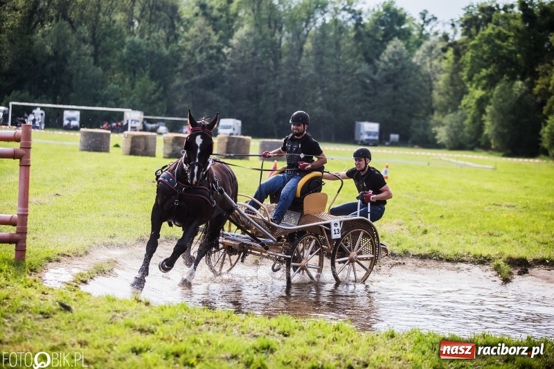 Zdjęcie w galerii na portalu naszraciborz.pl: Pierwszy dzień majówki w Kornicach za nami wiadomości z regionu