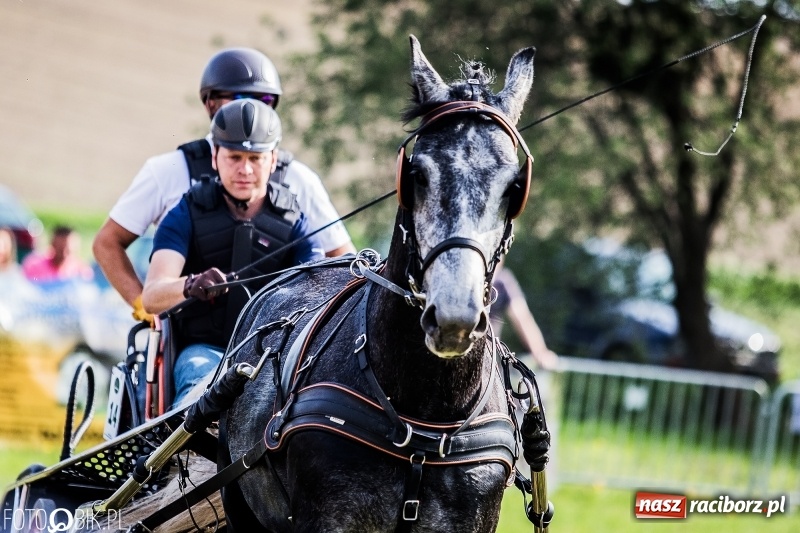 Zdjęcie w galerii na portalu naszraciborz.pl: Pierwszy dzień majówki w Kornicach za nami wiadomości z regionu