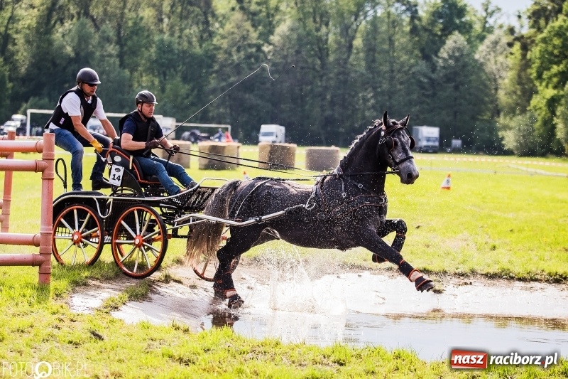 Zdjęcie w galerii na portalu naszraciborz.pl: Pierwszy dzień majówki w Kornicach za nami wiadomości z regionu