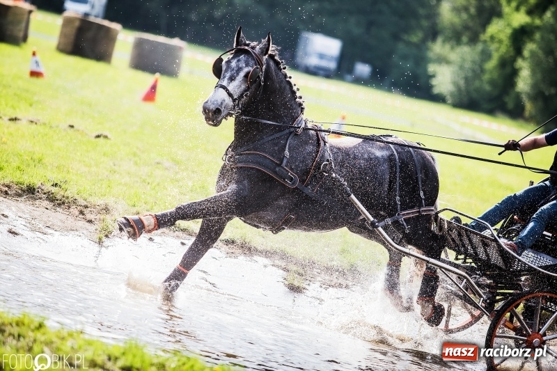 Zdjęcie w galerii na portalu naszraciborz.pl: Pierwszy dzień majówki w Kornicach za nami wiadomości z regionu