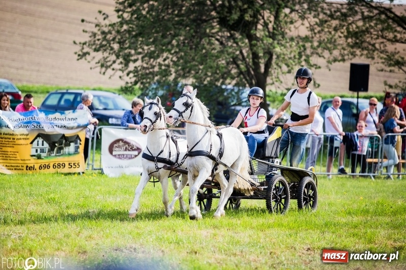 Zdjęcie w galerii na portalu naszraciborz.pl: Pierwszy dzień majówki w Kornicach za nami wiadomości z regionu