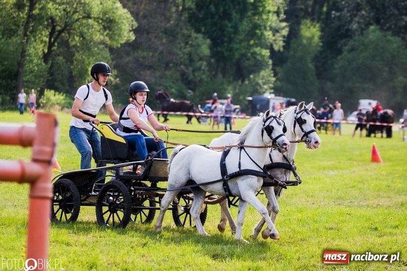 Zdjęcie w galerii na portalu naszraciborz.pl: Pierwszy dzień majówki w Kornicach za nami wiadomości z regionu