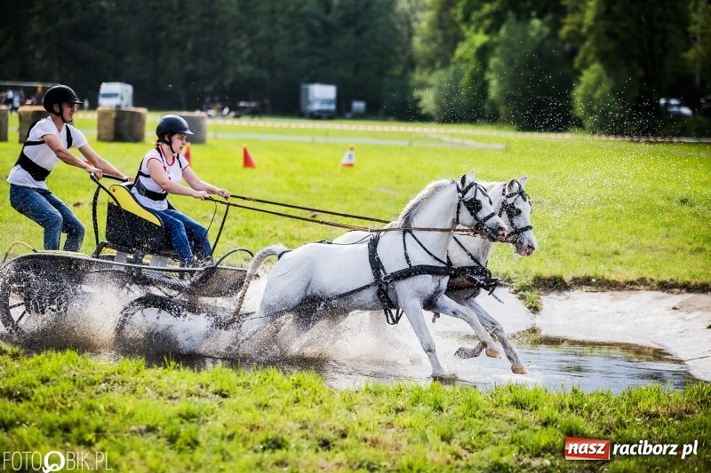 Zdjęcie w galerii na portalu naszraciborz.pl: Pierwszy dzień majówki w Kornicach za nami wiadomości z regionu
