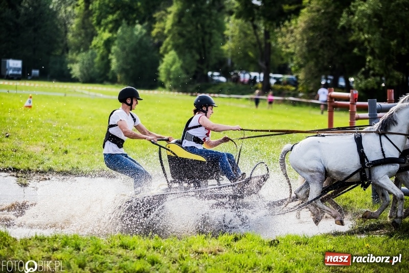 Zdjęcie w galerii na portalu naszraciborz.pl: Pierwszy dzień majówki w Kornicach za nami wiadomości z regionu