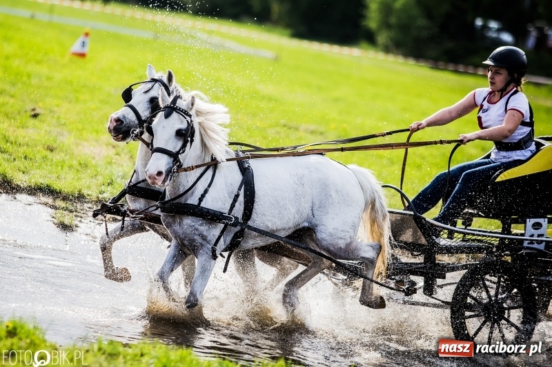 Zdjęcie w galerii na portalu naszraciborz.pl: Pierwszy dzień majówki w Kornicach za nami wiadomości z regionu