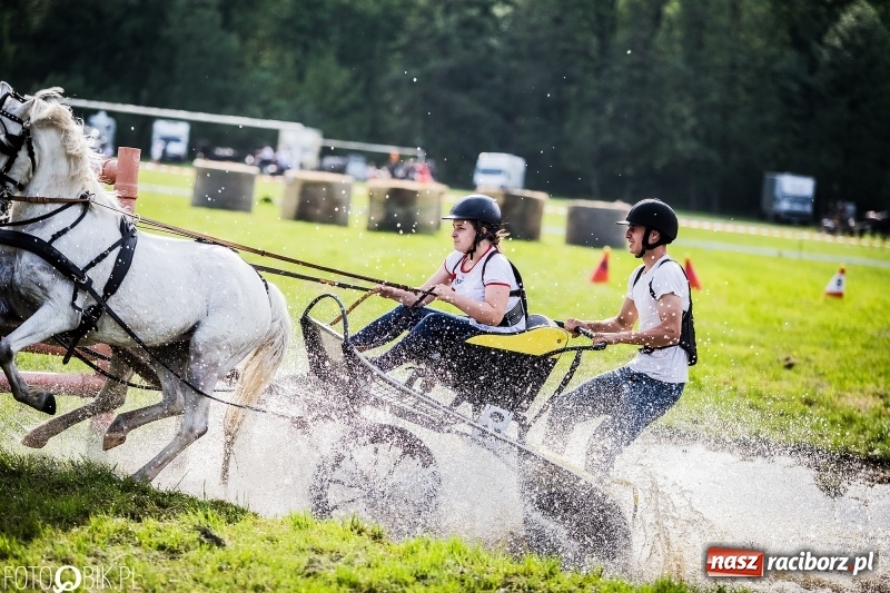Zdjęcie w galerii na portalu naszraciborz.pl: Pierwszy dzień majówki w Kornicach za nami wiadomości z regionu