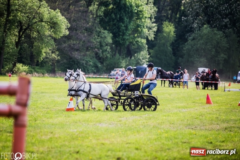 Zdjęcie w galerii na portalu naszraciborz.pl: Pierwszy dzień majówki w Kornicach za nami wiadomości z regionu