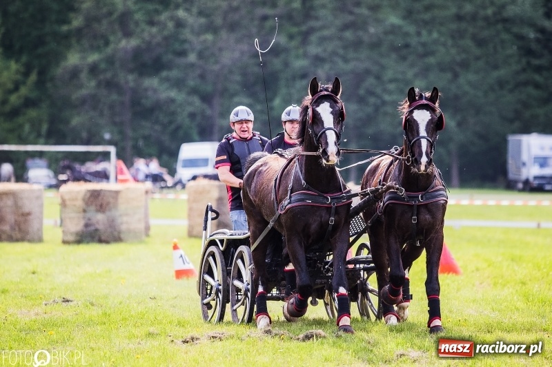 Zdjęcie w galerii na portalu naszraciborz.pl: Pierwszy dzień majówki w Kornicach za nami wiadomości z regionu