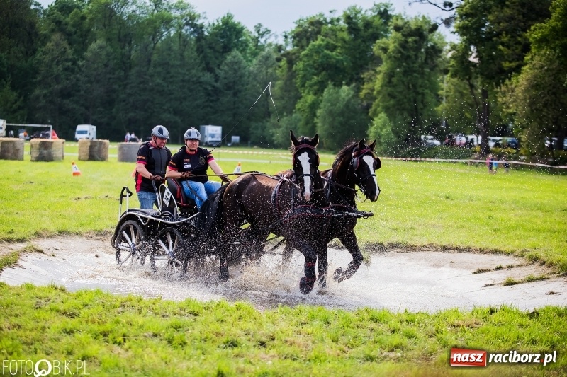 Zdjęcie w galerii na portalu naszraciborz.pl: Pierwszy dzień majówki w Kornicach za nami wiadomości z regionu