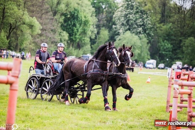 Zdjęcie w galerii na portalu naszraciborz.pl: Pierwszy dzień majówki w Kornicach za nami wiadomości z regionu