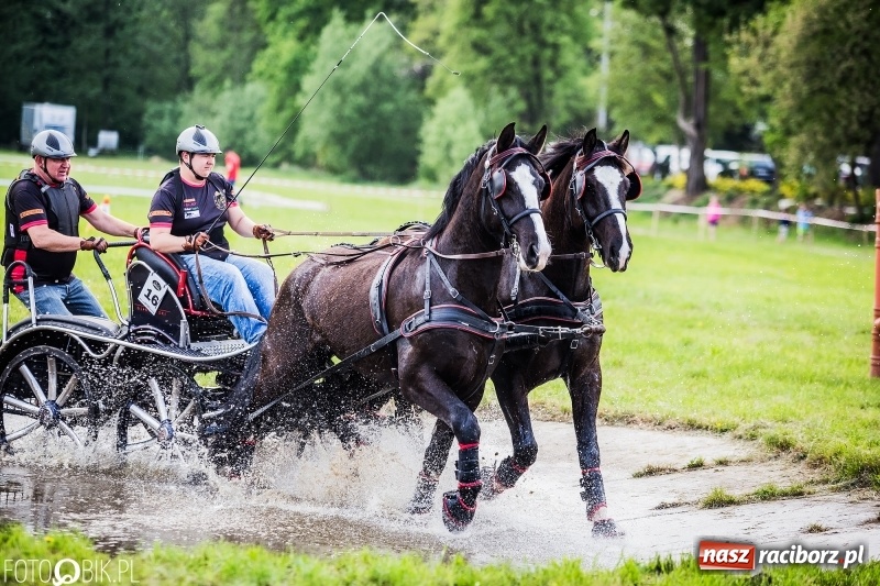 Zdjęcie w galerii na portalu naszraciborz.pl: Pierwszy dzień majówki w Kornicach za nami wiadomości z regionu