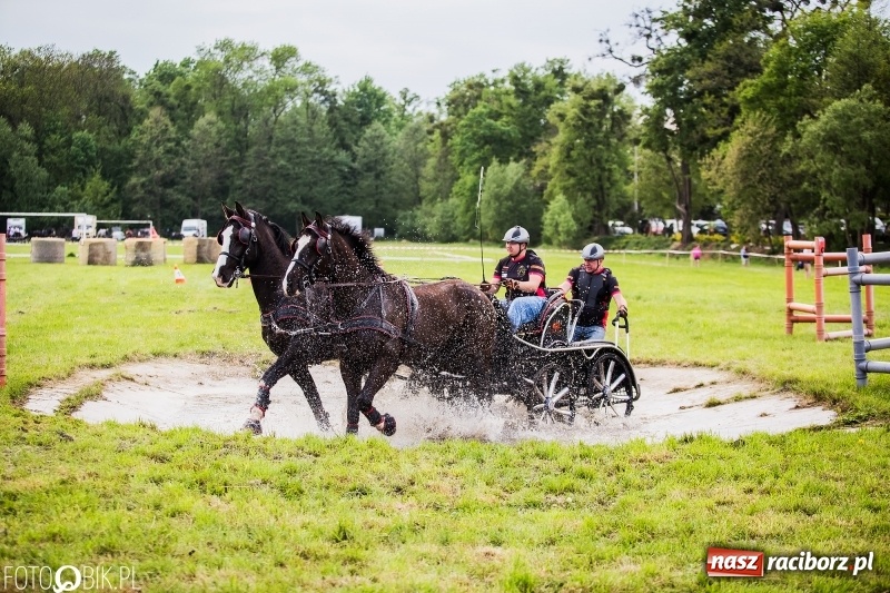 Zdjęcie w galerii na portalu naszraciborz.pl: Pierwszy dzień majówki w Kornicach za nami wiadomości z regionu