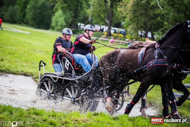 Zdjęcie w galerii na portalu naszraciborz.pl: Pierwszy dzień majówki w Kornicach za nami wiadomości z regionu