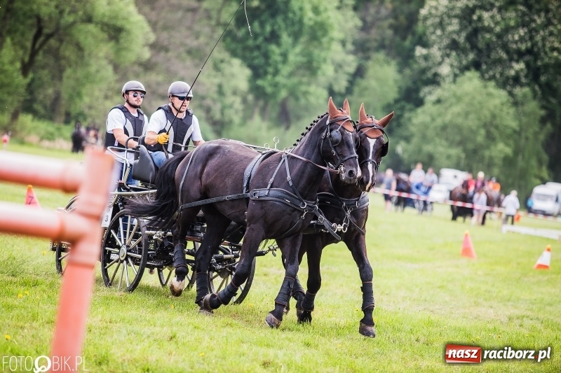 Zdjęcie w galerii na portalu naszraciborz.pl: Pierwszy dzień majówki w Kornicach za nami wiadomości z regionu