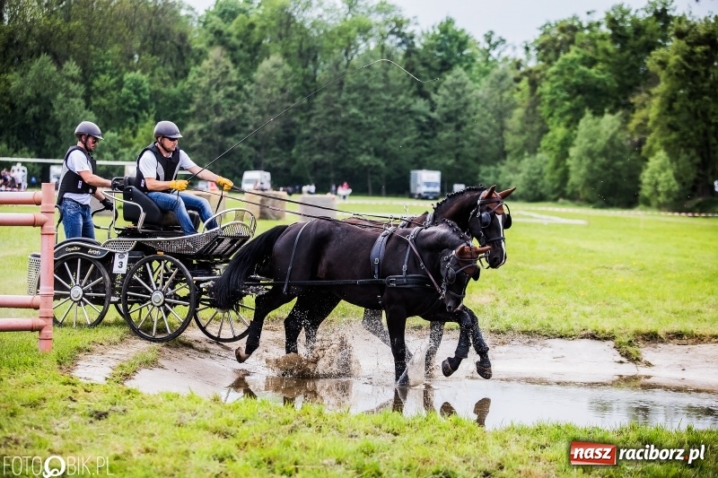 Zdjęcie w galerii na portalu naszraciborz.pl: Pierwszy dzień majówki w Kornicach za nami wiadomości z regionu