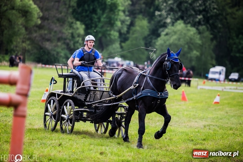 Zdjęcie w galerii na portalu naszraciborz.pl: Pierwszy dzień majówki w Kornicach za nami wiadomości z regionu