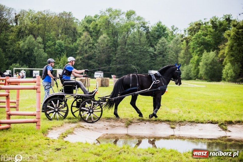 Zdjęcie w galerii na portalu naszraciborz.pl: Pierwszy dzień majówki w Kornicach za nami wiadomości z regionu