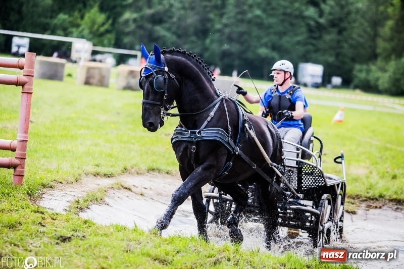 Zdjęcie w galerii na portalu naszraciborz.pl: Pierwszy dzień majówki w Kornicach za nami wiadomości z regionu
