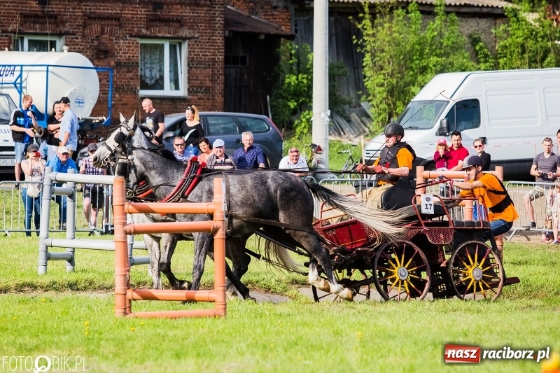 Zdjęcie w galerii na portalu naszraciborz.pl: Pierwszy dzień majówki w Kornicach za nami wiadomości z regionu