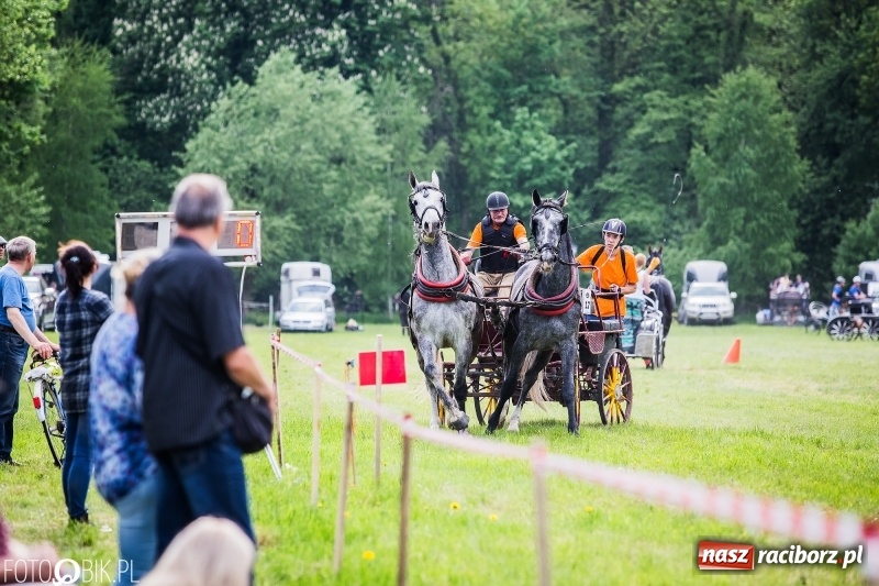 Zdjęcie w galerii na portalu naszraciborz.pl: Pierwszy dzień majówki w Kornicach za nami wiadomości z regionu