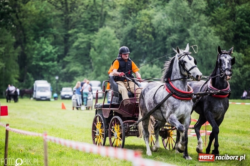 Zdjęcie w galerii na portalu naszraciborz.pl: Pierwszy dzień majówki w Kornicach za nami wiadomości z regionu