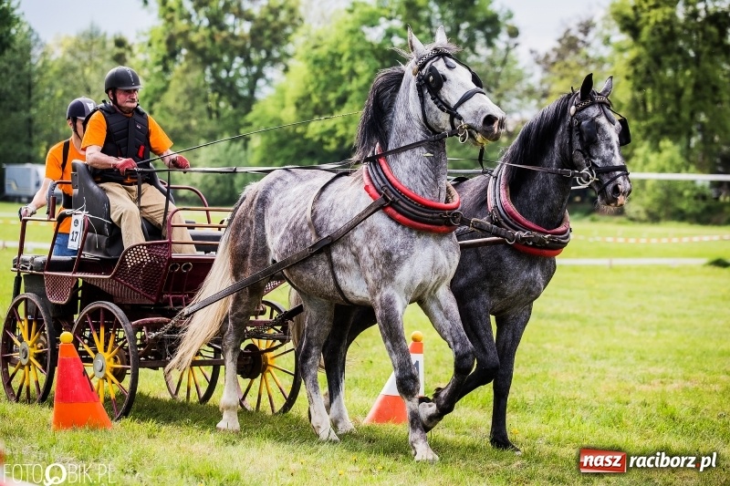 Zdjęcie w galerii na portalu naszraciborz.pl: Pierwszy dzień majówki w Kornicach za nami wiadomości z regionu