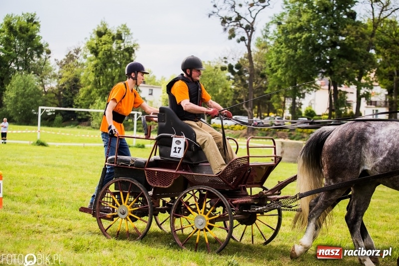 Zdjęcie w galerii na portalu naszraciborz.pl: Pierwszy dzień majówki w Kornicach za nami wiadomości z regionu