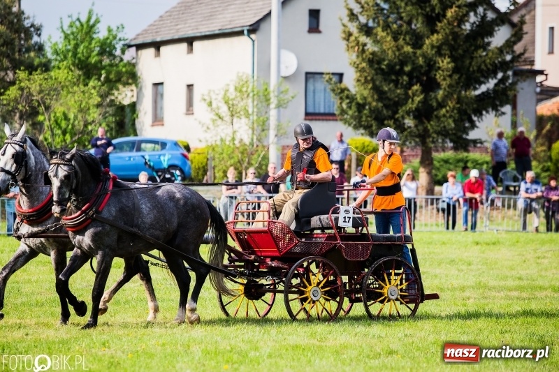 Zdjęcie w galerii na portalu naszraciborz.pl: Pierwszy dzień majówki w Kornicach za nami wiadomości z regionu