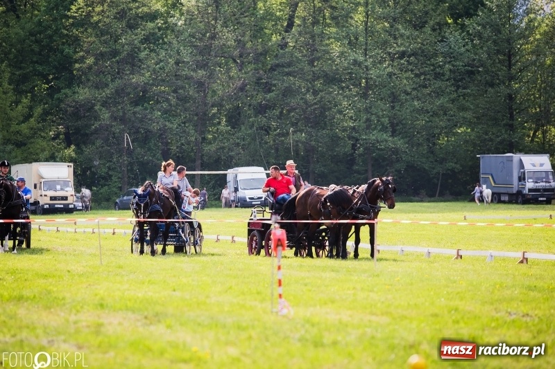 Zdjęcie w galerii na portalu naszraciborz.pl: Pierwszy dzień majówki w Kornicach za nami wiadomości z regionu