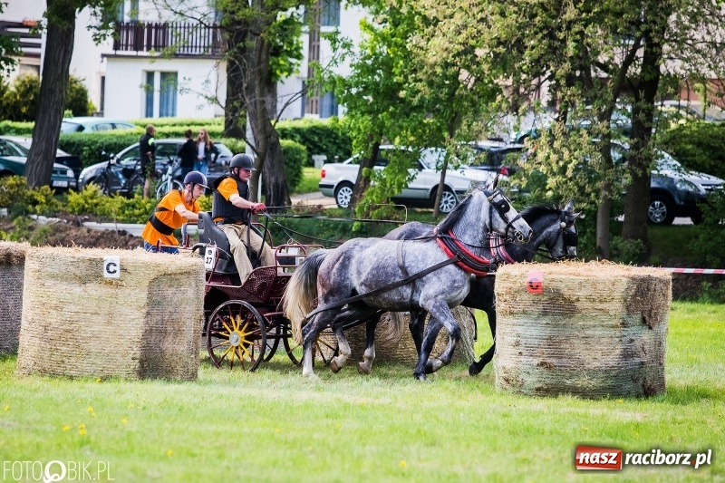 Zdjęcie w galerii na portalu naszraciborz.pl: Pierwszy dzień majówki w Kornicach za nami wiadomości z regionu