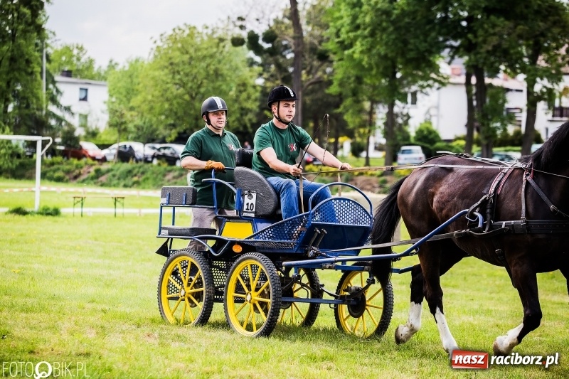 Zdjęcie w galerii na portalu naszraciborz.pl: Pierwszy dzień majówki w Kornicach za nami wiadomości z regionu