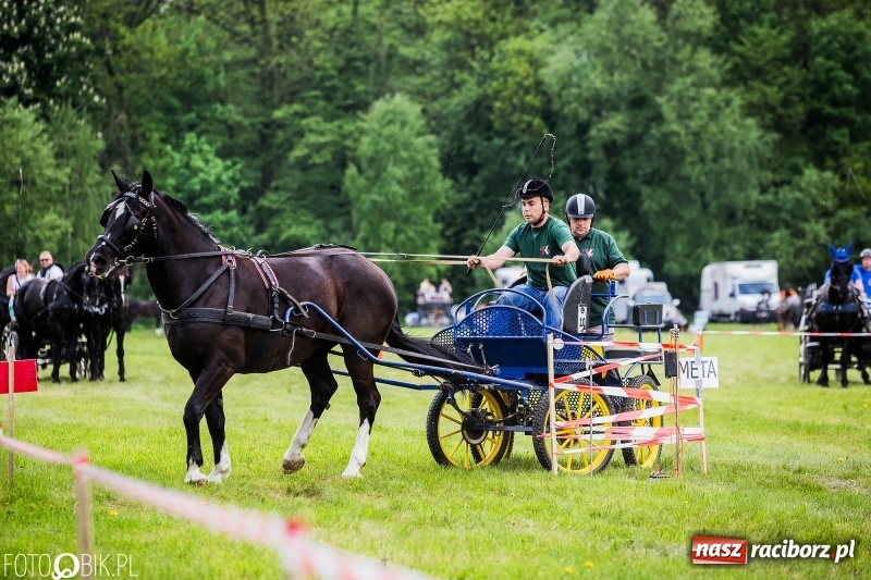 Zdjęcie w galerii na portalu naszraciborz.pl: Pierwszy dzień majówki w Kornicach za nami wiadomości z regionu