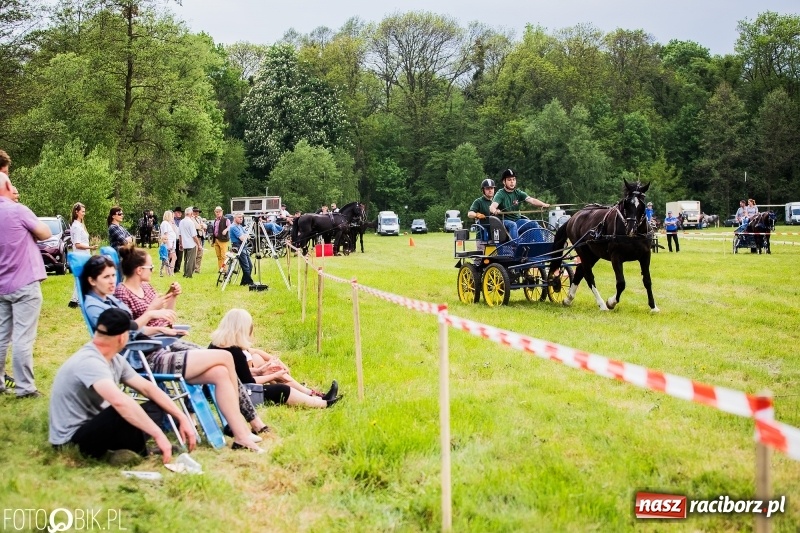 Zdjęcie w galerii na portalu naszraciborz.pl: Pierwszy dzień majówki w Kornicach za nami wiadomości z regionu