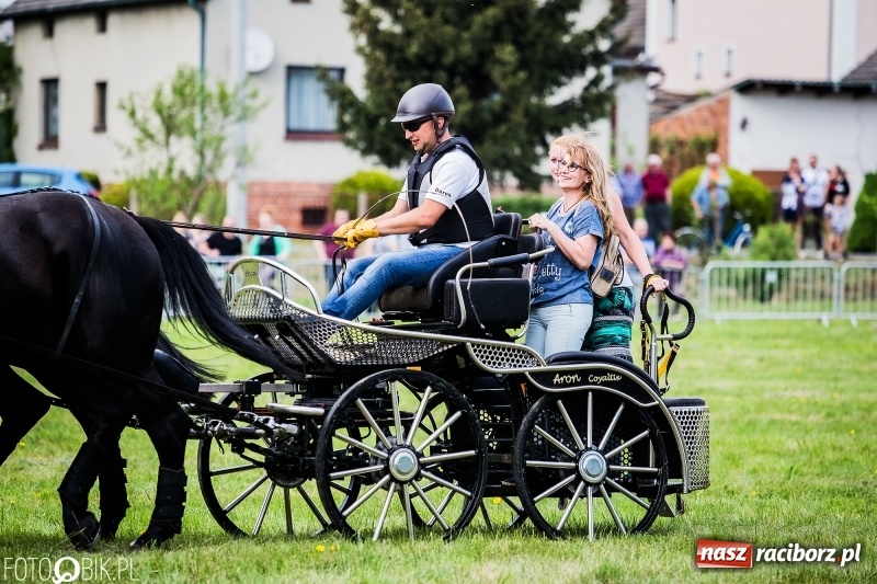 Zdjęcie w galerii na portalu naszraciborz.pl: Pierwszy dzień majówki w Kornicach za nami wiadomości z regionu
