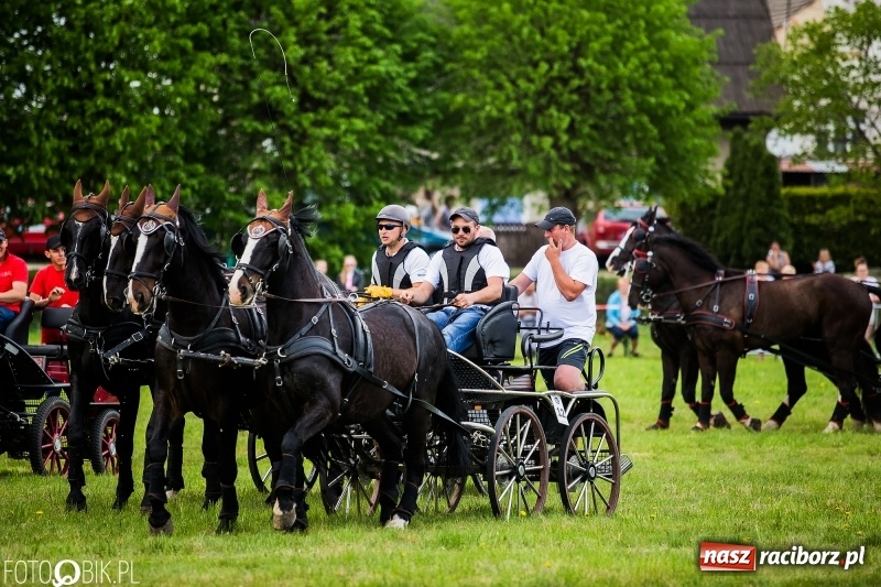 Zdjęcie w galerii na portalu naszraciborz.pl: Pierwszy dzień majówki w Kornicach za nami wiadomości z regionu